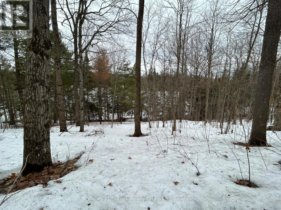 1037 ROTUNDA DRIVE, Contau Lake