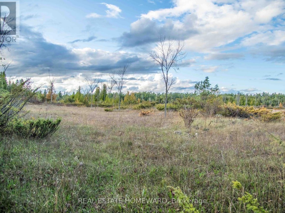 LOT 256 MCGUIRE BEACH ROAD, Canal Lake