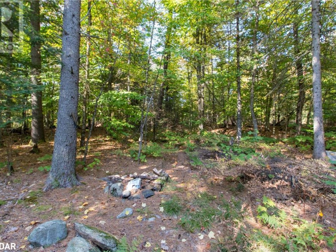 0 LYNX LAKE Road, 