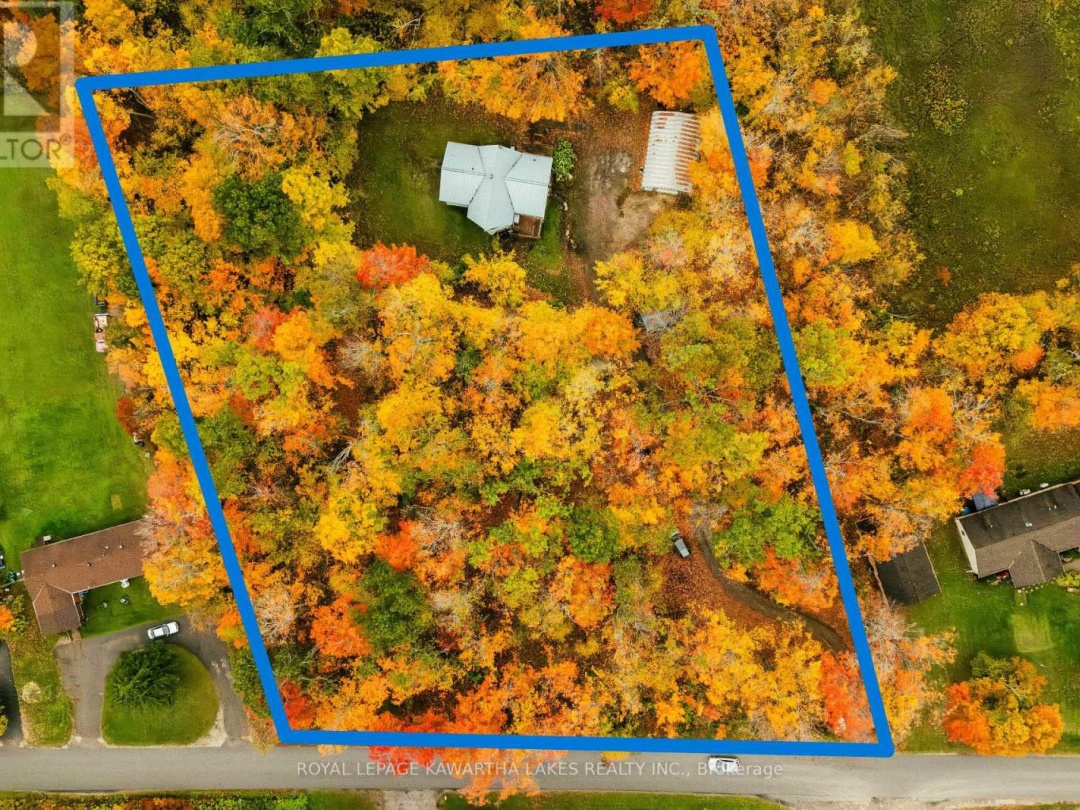 693 BALSAM LAKE DRIVE, 