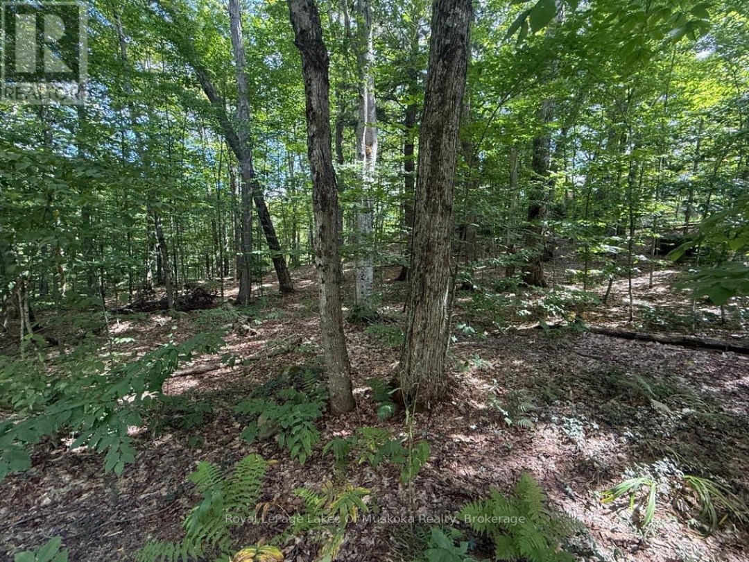 LOT 85 BRENNAN CIRCLE, Lake Vernon
