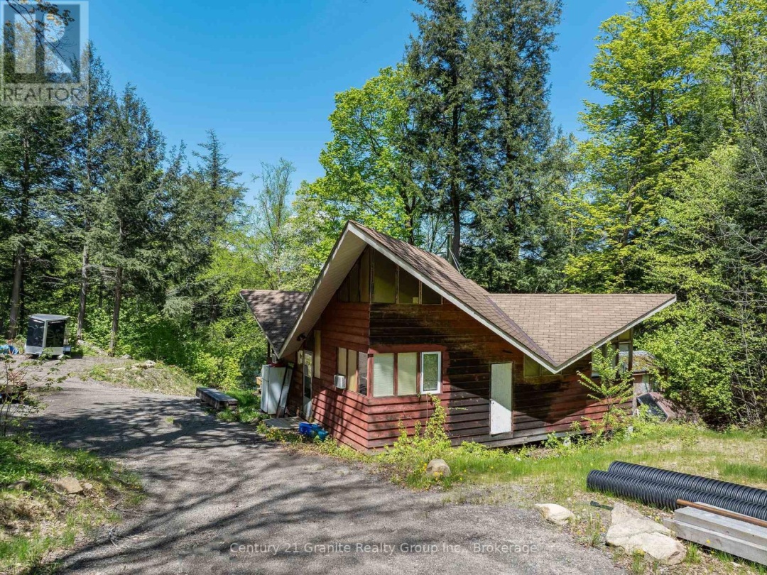 1145 MINK ROAD, Long Lake