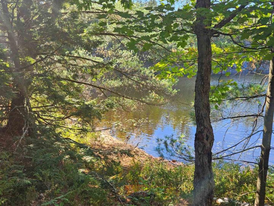 1112 SAM COOK ROAD, Little Sunny Lake