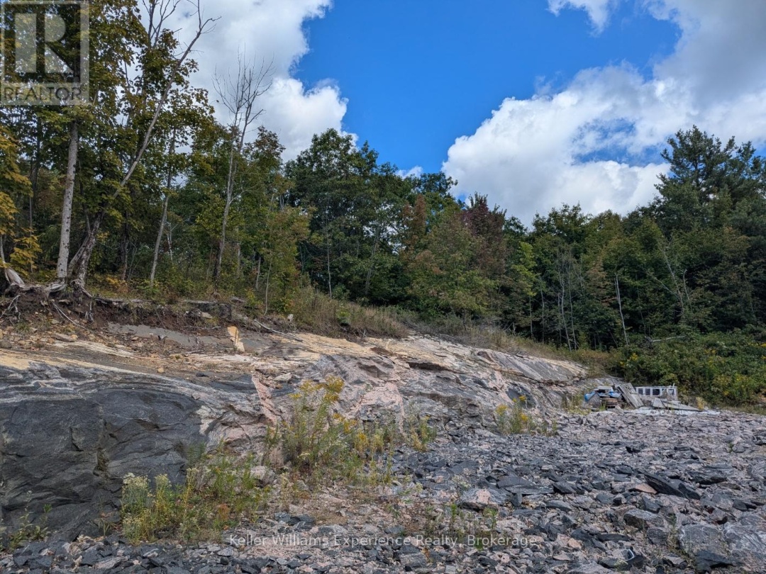 1681 MUSKOKA BEACH ROAD, 