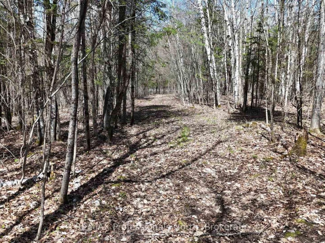 0 OSPREY ROAD, Minden Hills (Minden)