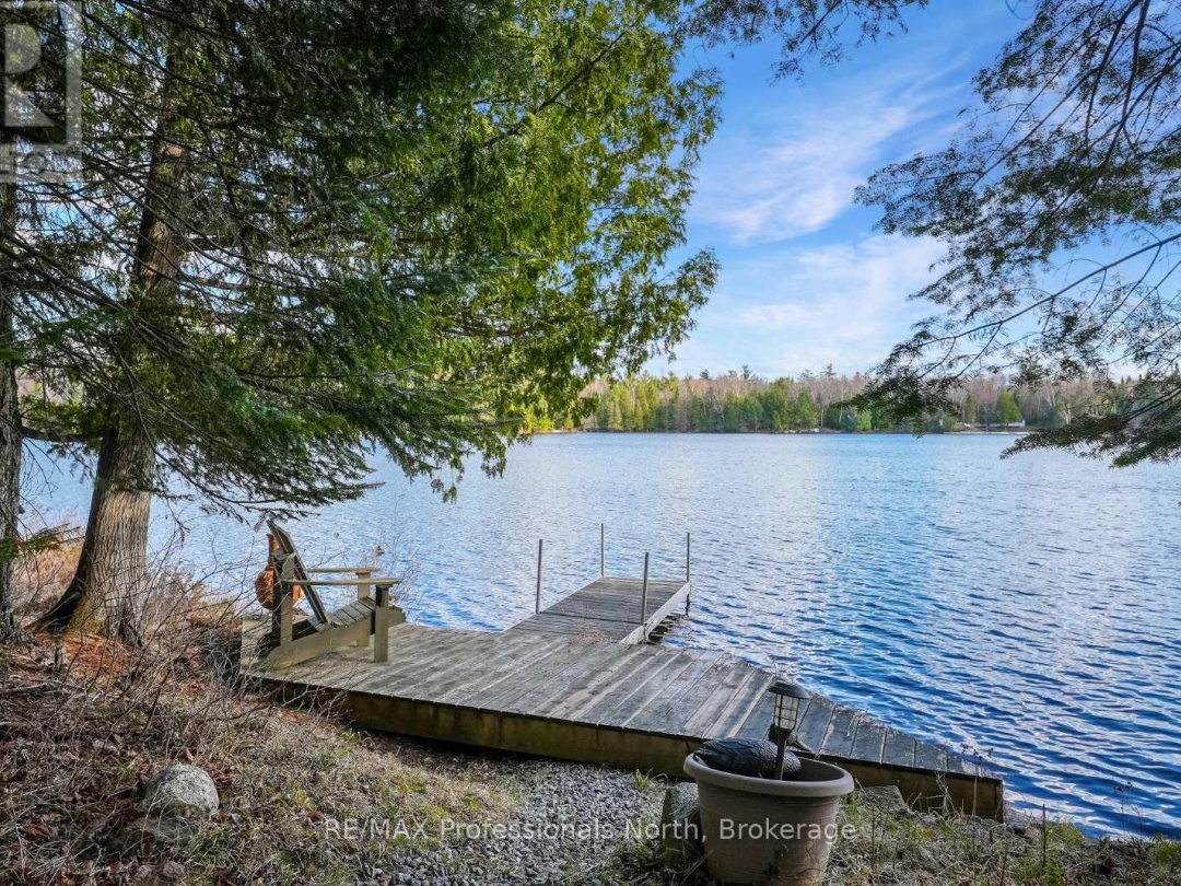 1107 PLUTO TRAIL, Boyne Lake