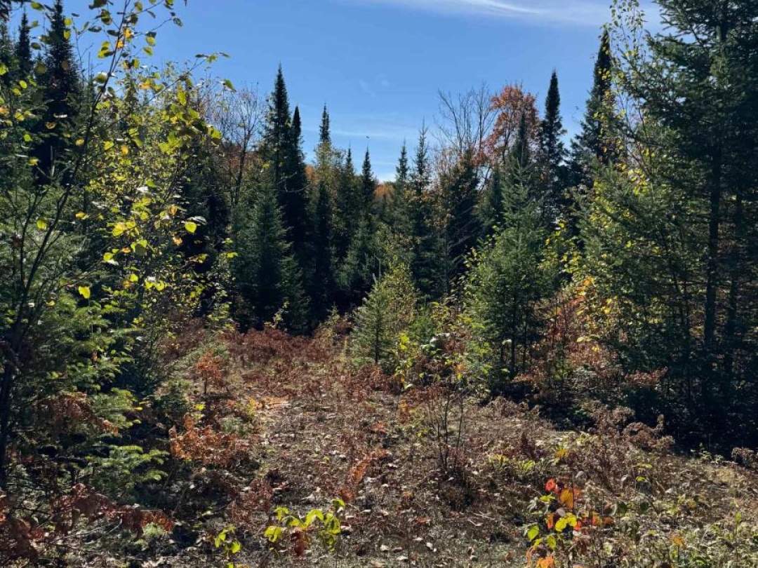 0000 KOSHLONG LAKE ROAD, 