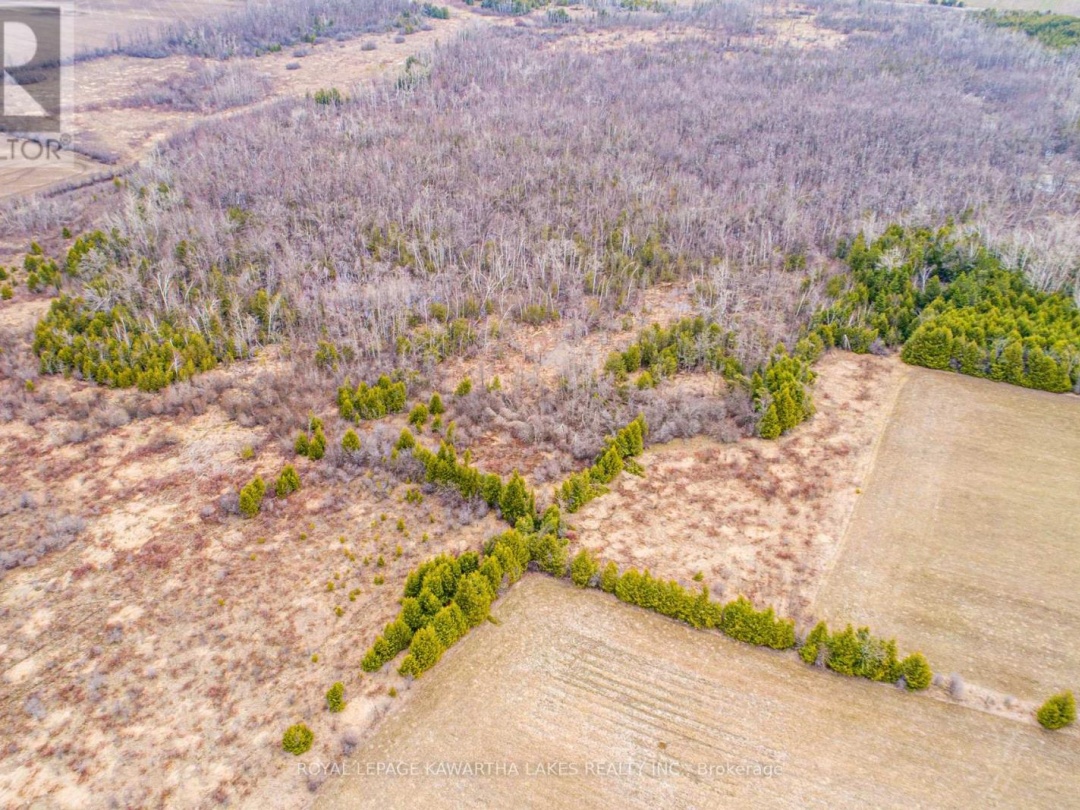 210 GRASSHILL ROAD, Kawartha Lakes (Woodville)