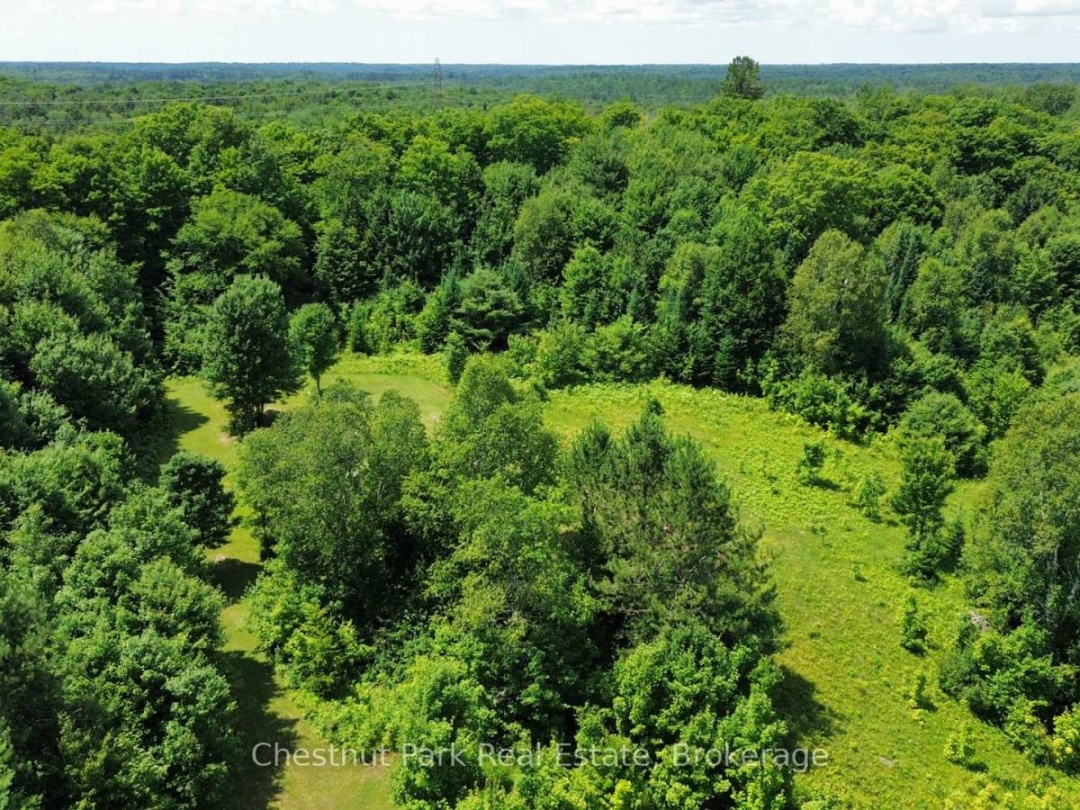 1060 BAKER SIDE ROAD, Bracebridge (Macaulay)