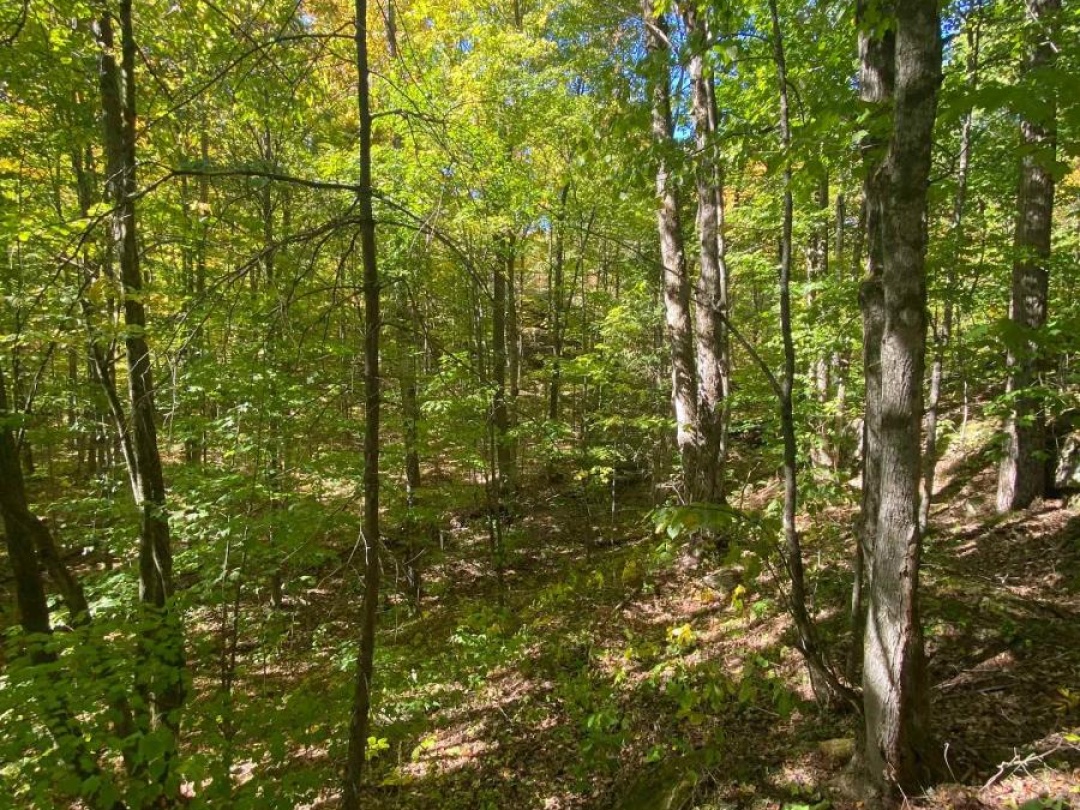 1248 BEIERS ROAD, Gravenhurst (Morrison)