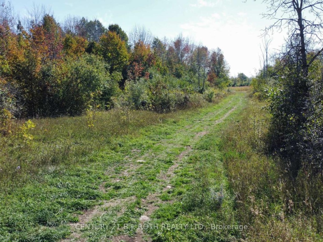 1273 RAMARA RD 47 ROAD, Lake Simcoe