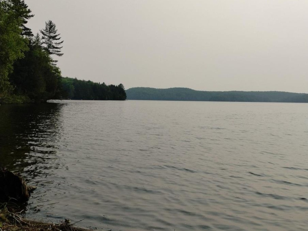 LOT 10 LOON LAKE ROAD S, Loon Lake