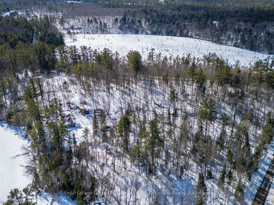 250 & 252 CLEAR LAKE ROAD, Lake Joseph