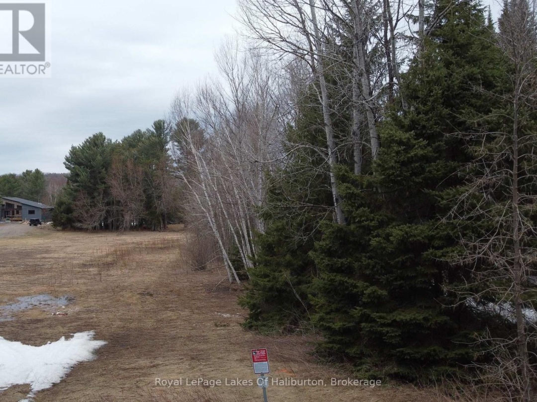 0 KASHAGAWIGAMOG LAKE ROAD, Dysart et al (Dysart)