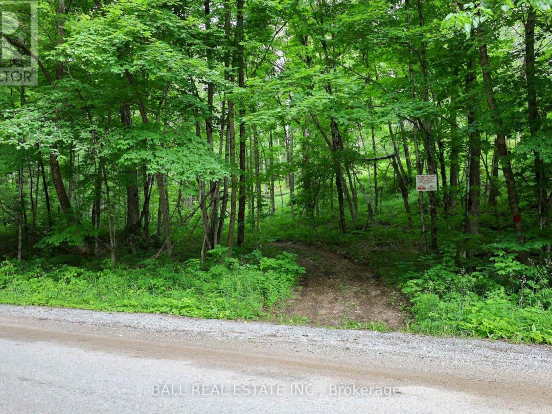 0 NORTHERN AVENUE, Trent Lakes
