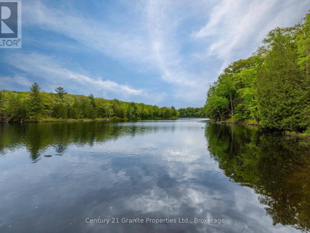 131 DOWNES ROAD, Horseshoe Lake