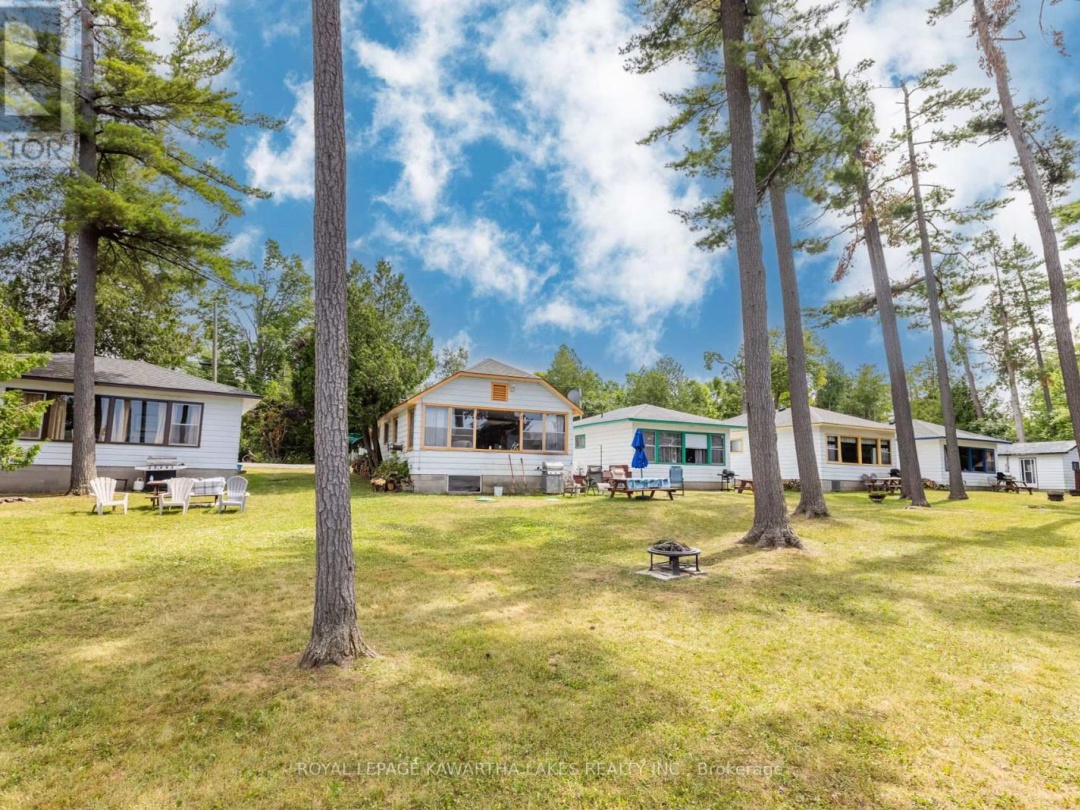 36 GOODMAN ROAD, 