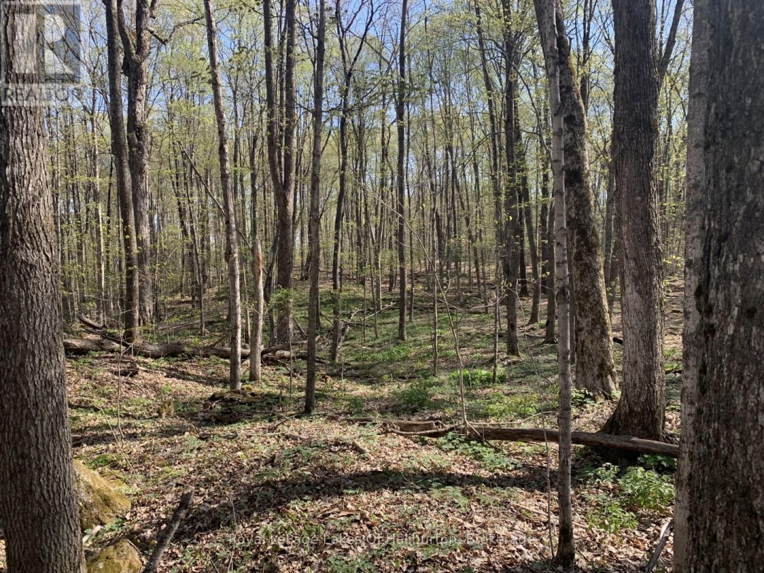 0 KASHAGAWIGAMOG LAKE ROAD, 