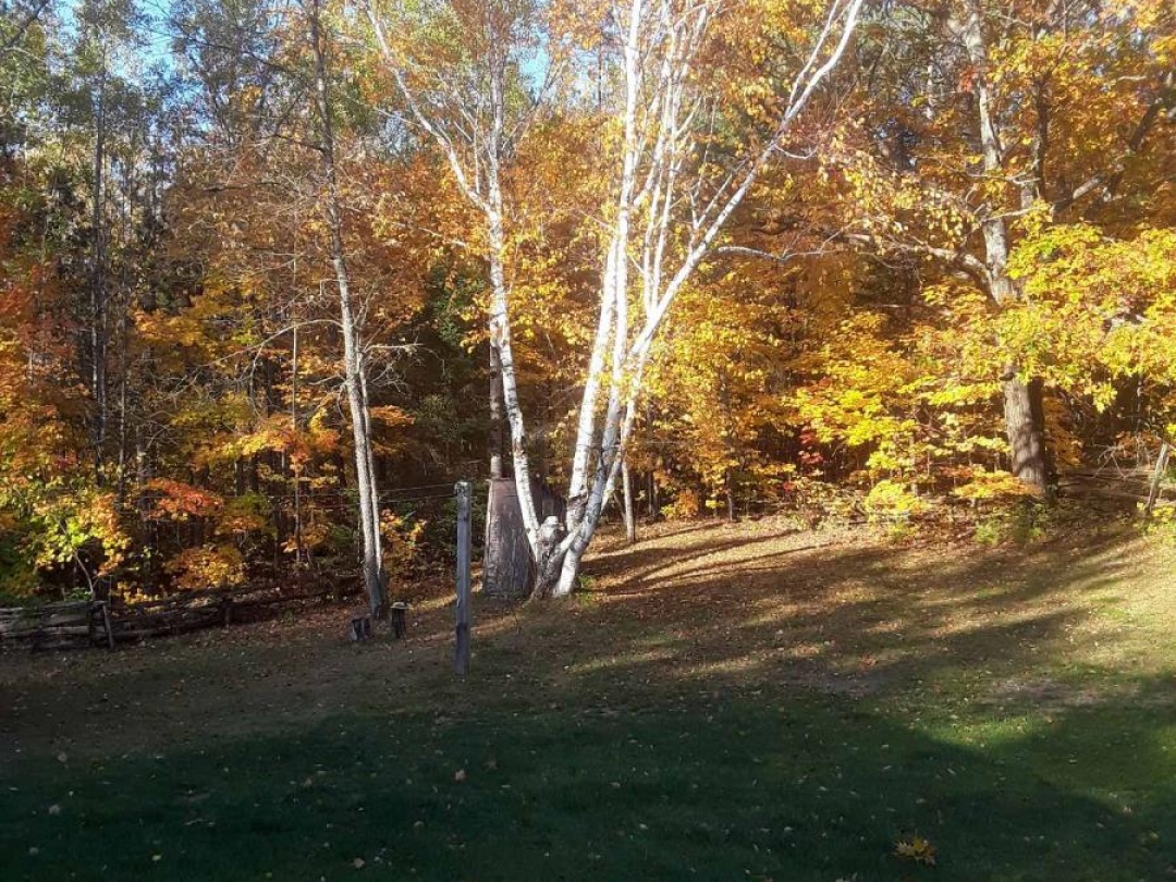 767 GALWAY ROAD, Trent Lakes