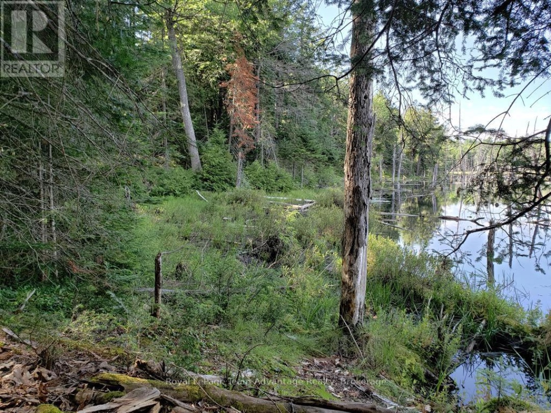 0 UNOPENED ROAD ALLOWANCE ROAD, McKellar