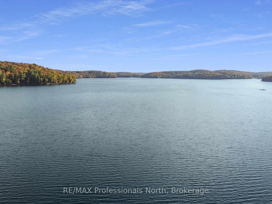 1110 MISKWABI LAKE ROAD, Miskwabi Lake