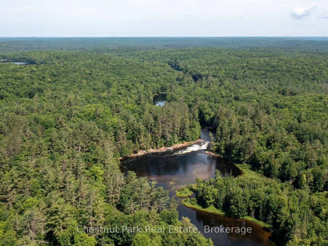 1277 SHERWOOD FOREST ROAD, 