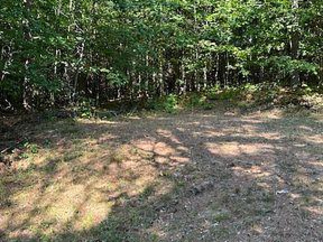 2875 COUNTY ROAD 21 ROAD, Minden Hills (Minden)