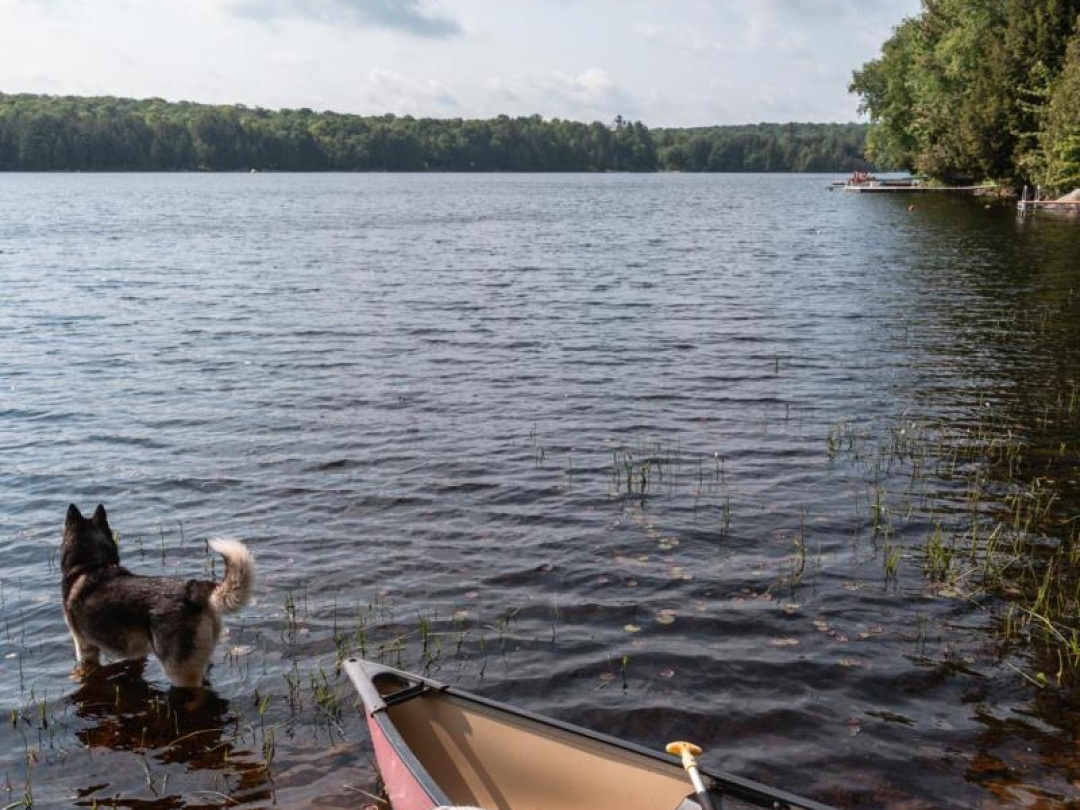 201 N MENOMINEE LAKE ROAD, Menominee Lake
