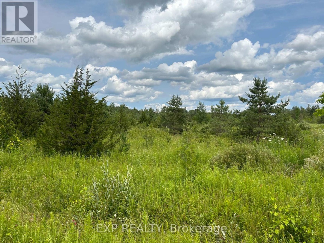 1125 WOOD ROAD, Tay