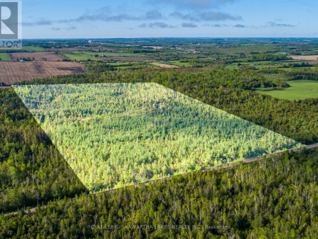 LOT 3 BLACK SCHOOL ROAD, Kawartha Lakes (Mariposa)