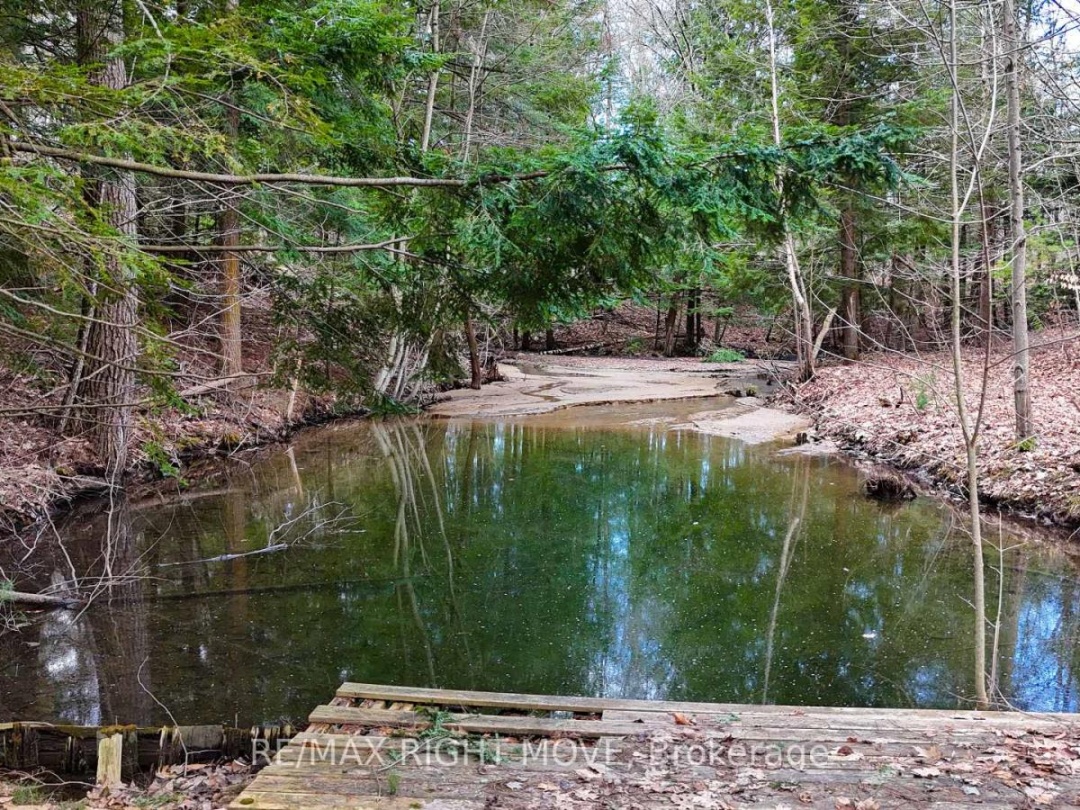 4124 WAINMAN LINE, Severn (Bass Lake)