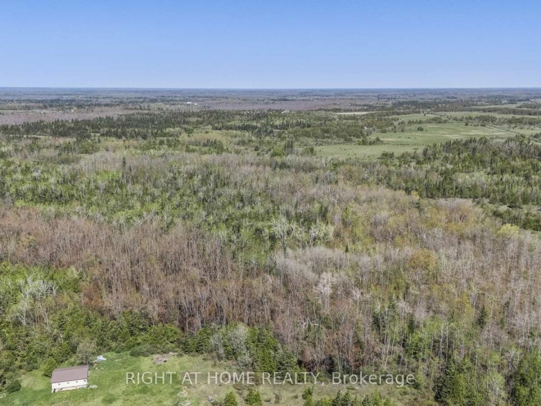 194 MCGUIRE BEACH ROAD, Kawartha Lakes (Carden)