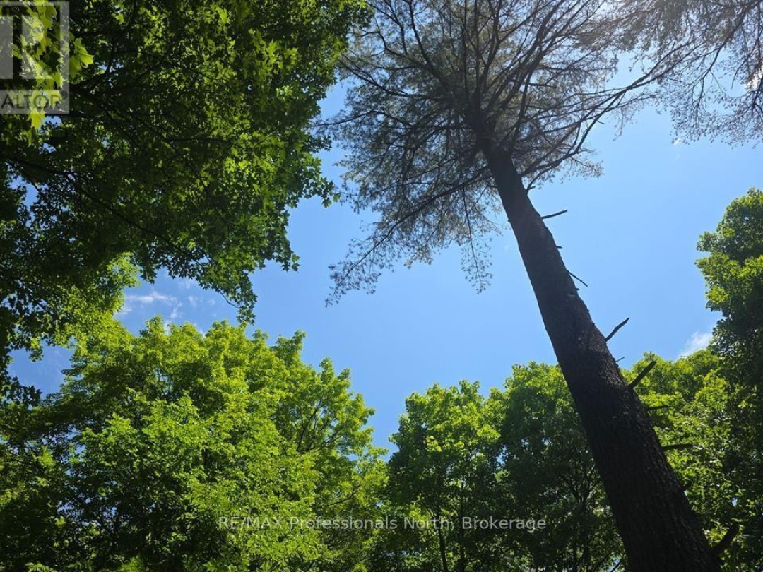 1134 WALKERS LINE ROAD, 