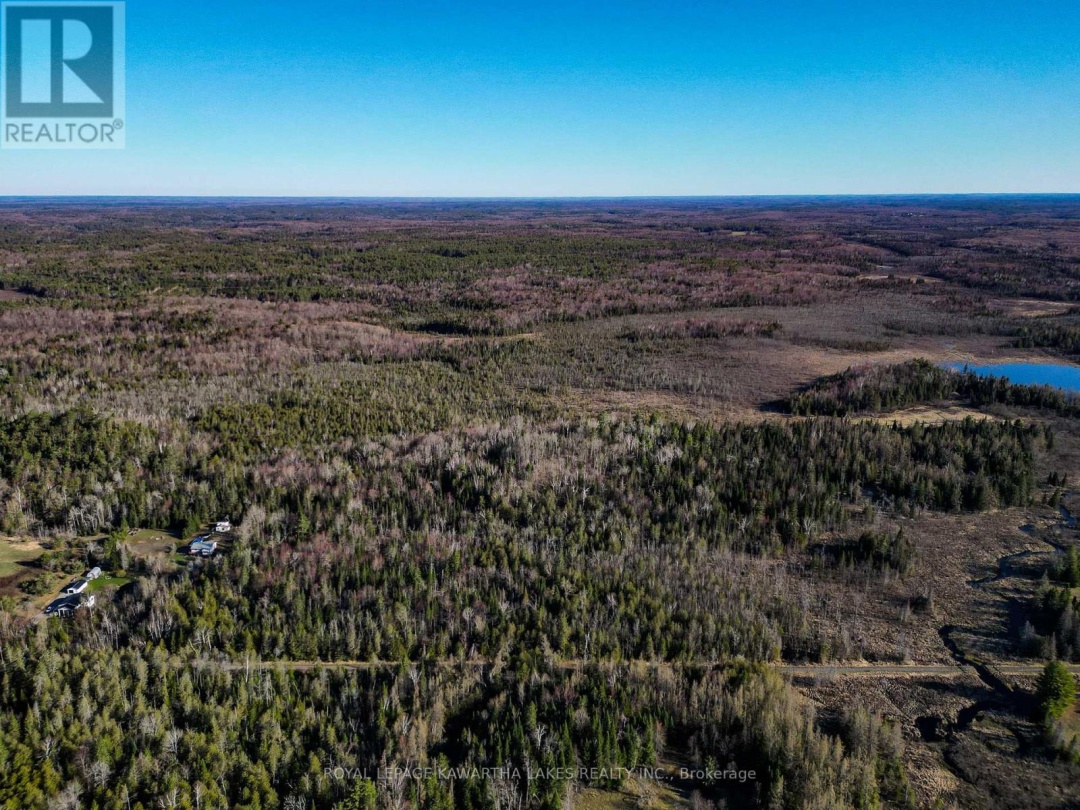 LT 4 DUTCH LINE ROAD W, Trent Lakes
