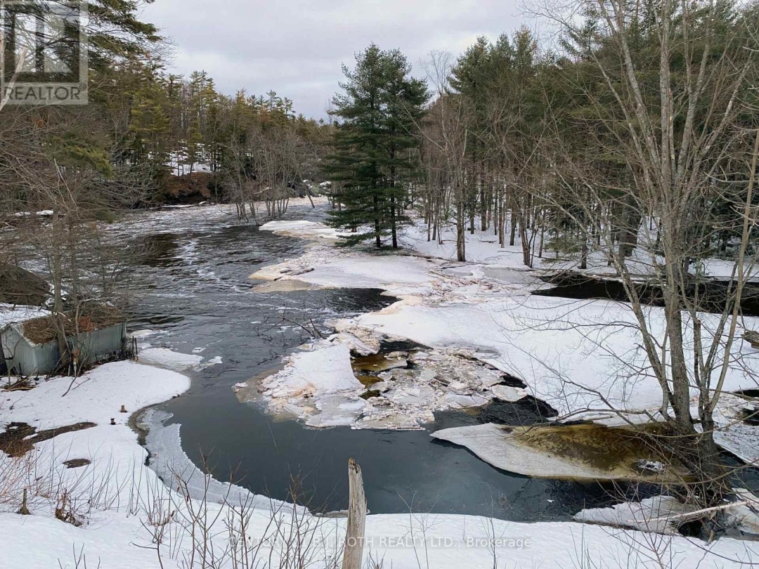 8101 KINGS RIVER ROAD, Black River
