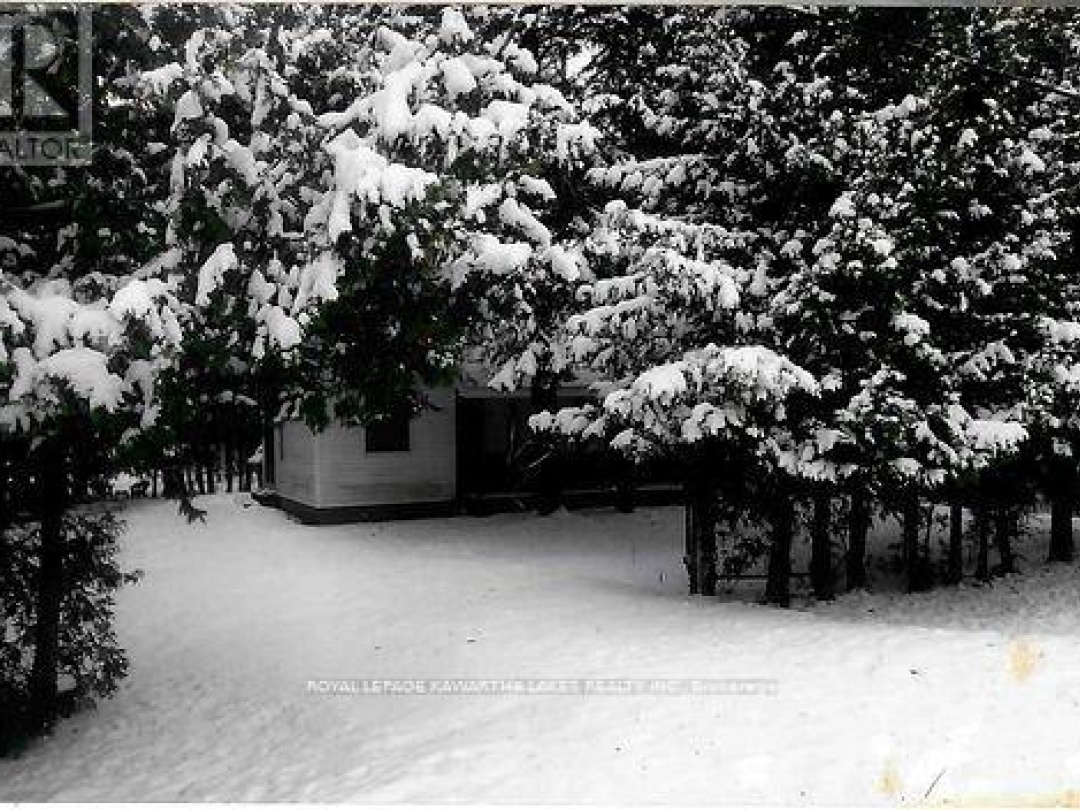 81 MCGUIRE BEACH ROAD, Trent-Severn Waterway