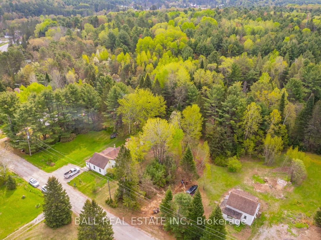 0 THE AVENUE, Kawartha Lakes (Kinmount)