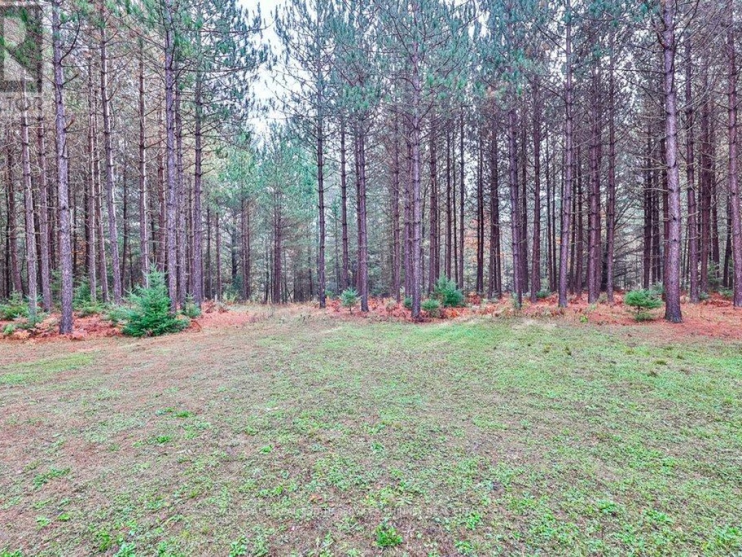 72 HARMONIOUS DRIVE, Burnt River