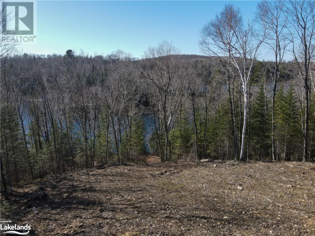 244A Riverside Drive, Magnetawan River