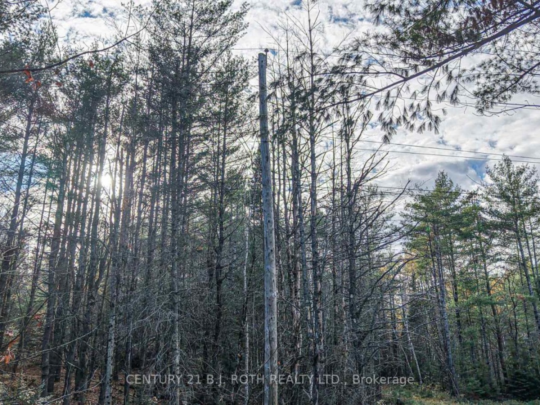 1036 HOPKINS ROAD, Gravenhurst (Ryde)