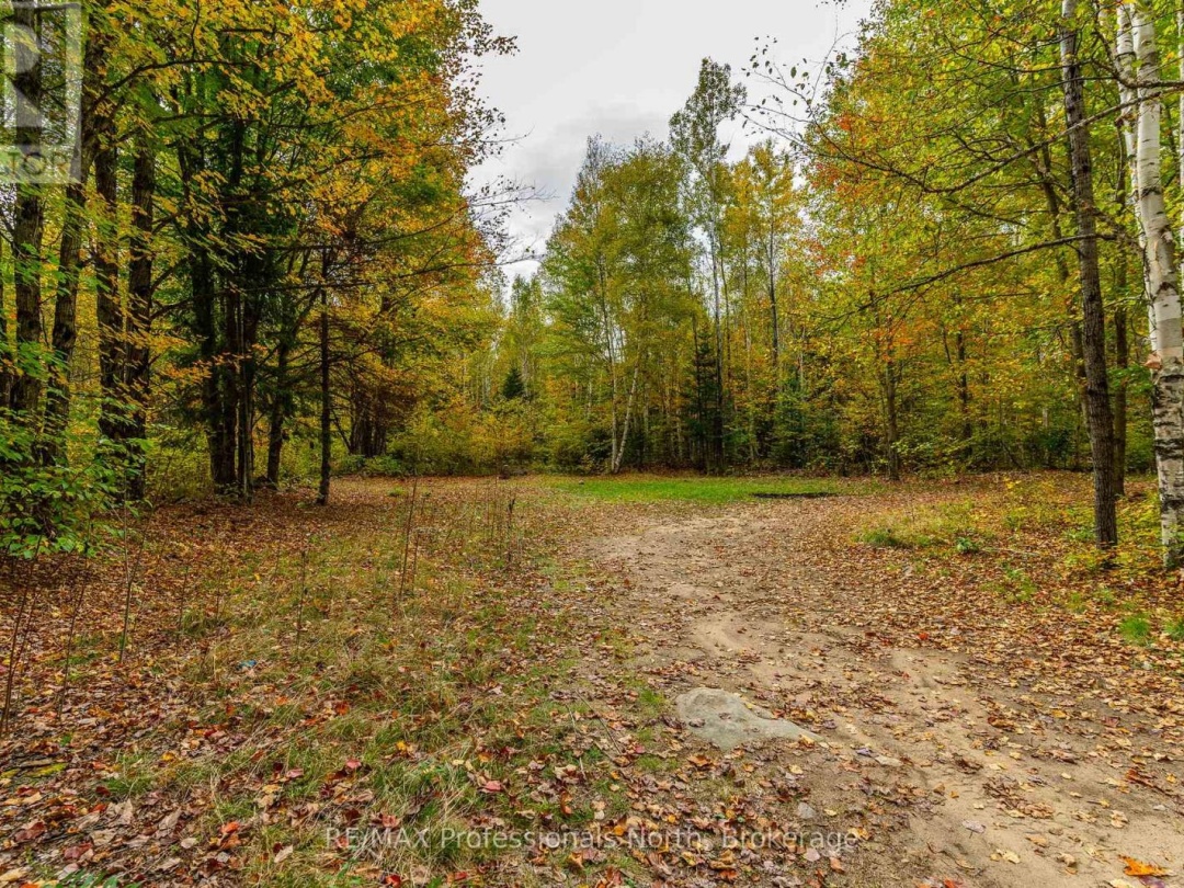 1600 BOBCAYGEON ROAD, Minden Hills (Minden)