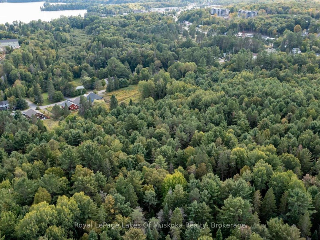 100 CHAFFEY TOWNSHIP ROAD, 