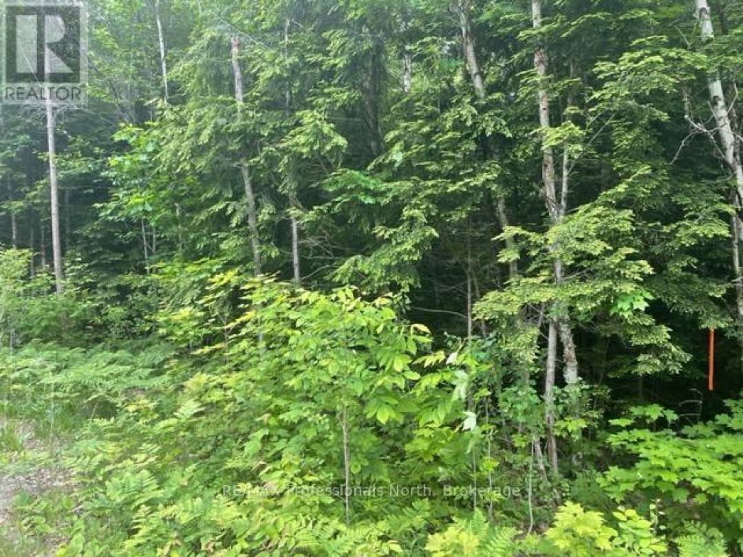 0 BIG HAWK LAKE ROAD, Algonquin Highlands (Stanhope)