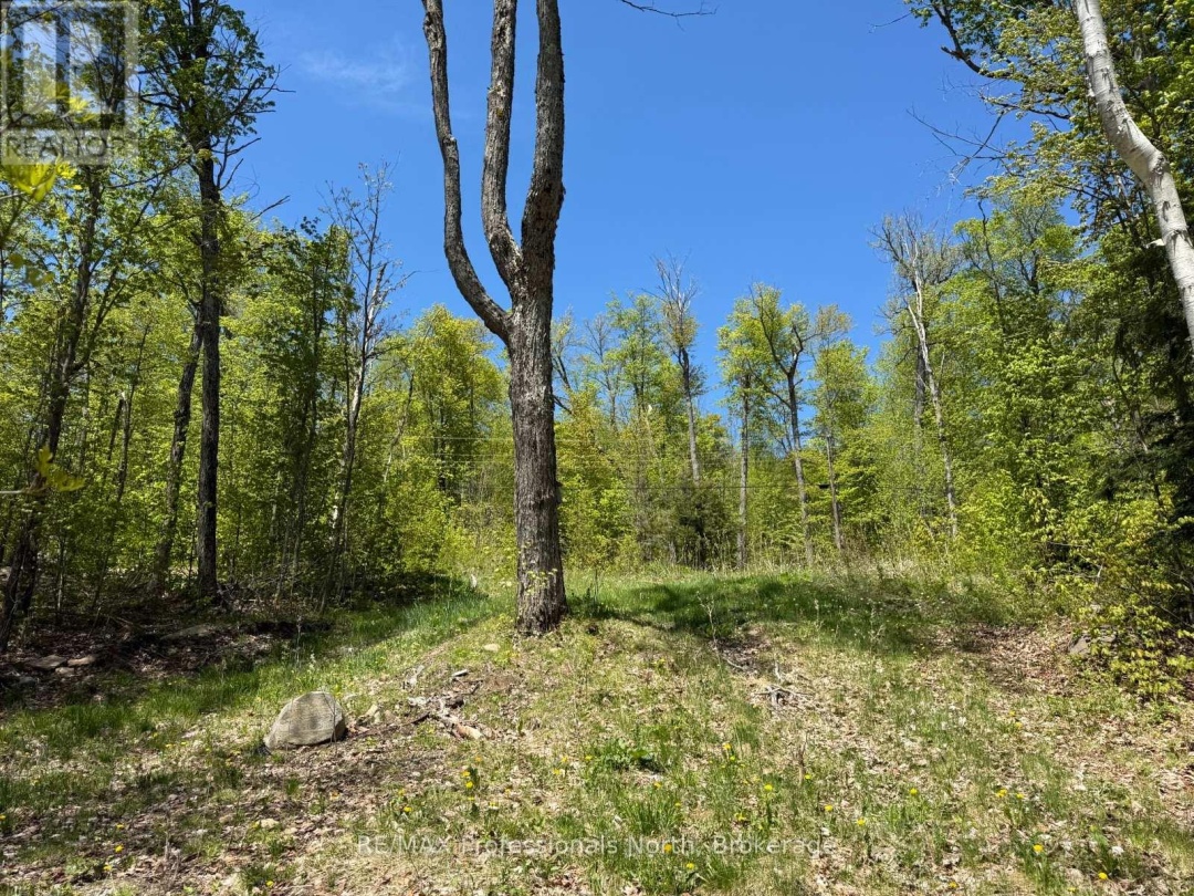 2612 WILKINSON ROAD, Kennisis Lake