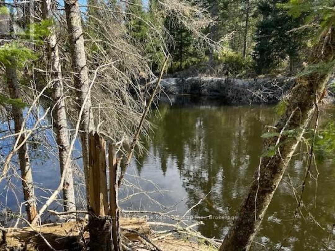 0 COUNTY ROAD 503, Irondale River