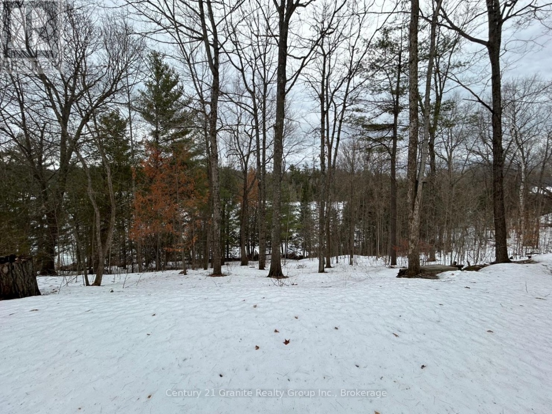 1037 ROTUNDA DRIVE, Contau Lake