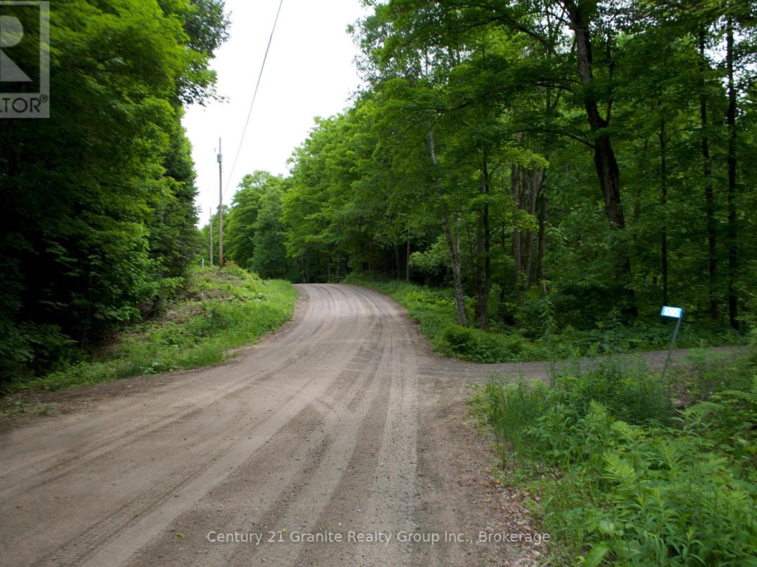 LOT 10 LOON LAKE ROAD S, Loon Lake