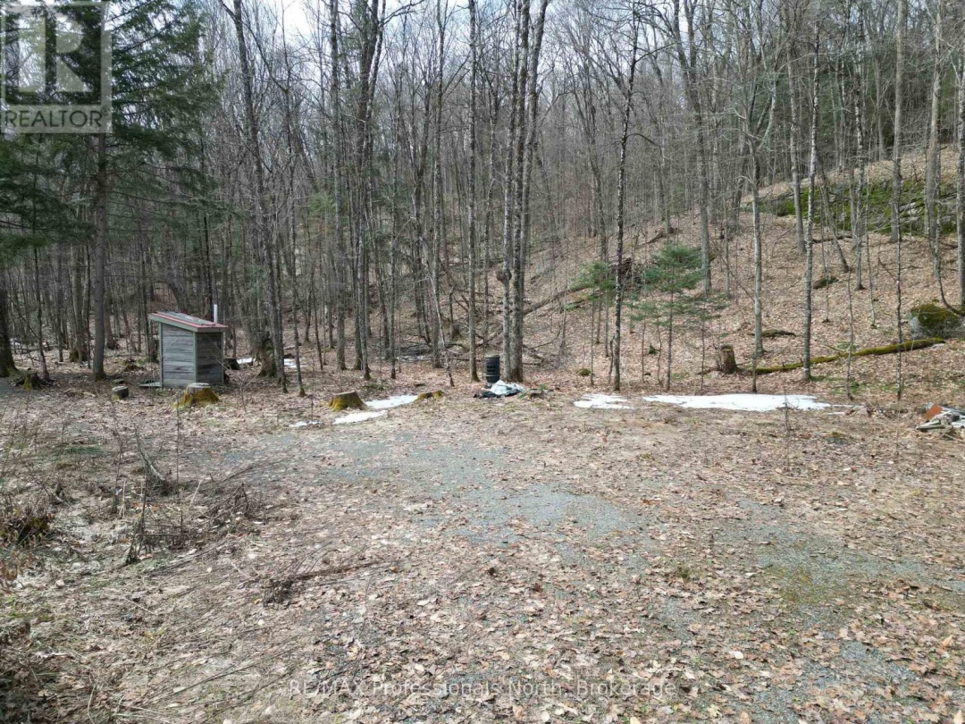 1231 BIG HAWK LAKE ROAD, Algonquin Highlands (Stanhope)