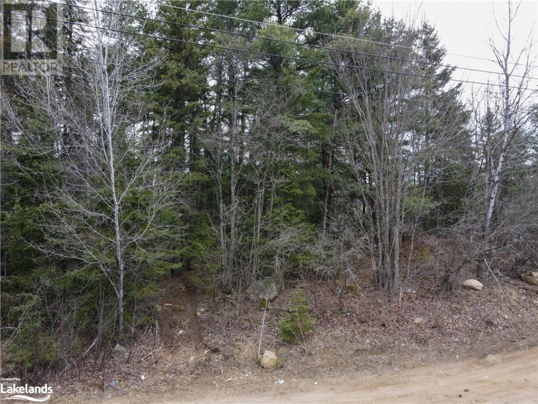 0 Old Muskoka Road Unit# Lot 1, Emsdale