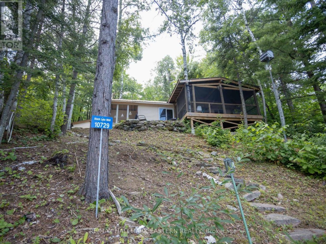 10729 BLACK LAKE ROAD, 